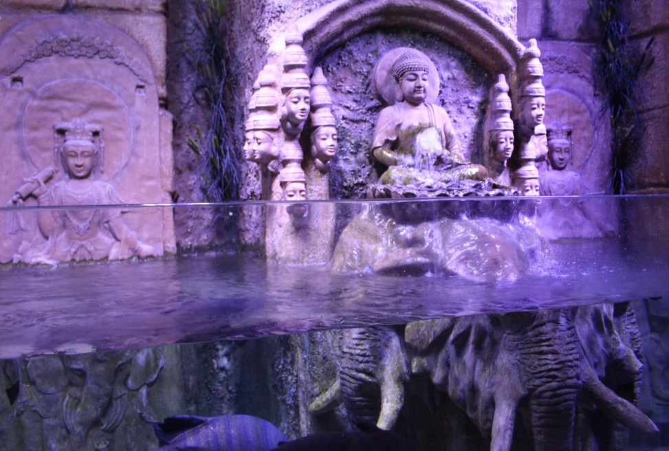 Название: Будда в аквариуме.JPG
Просмотры: 2614
Размер: 213.3 Кб