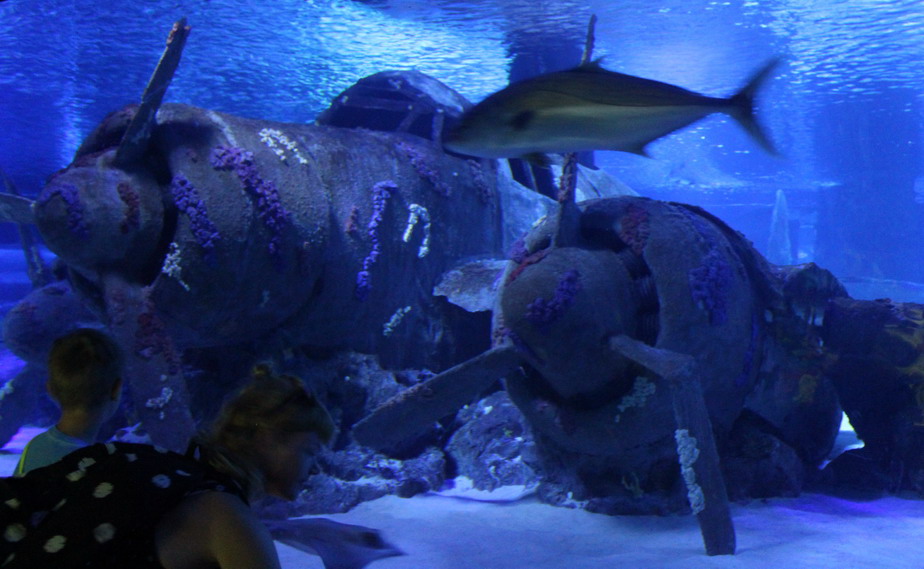 Название: Затонувший самолет - Турция.JPG
Просмотры: 2489
Размер: 147.1 Кб