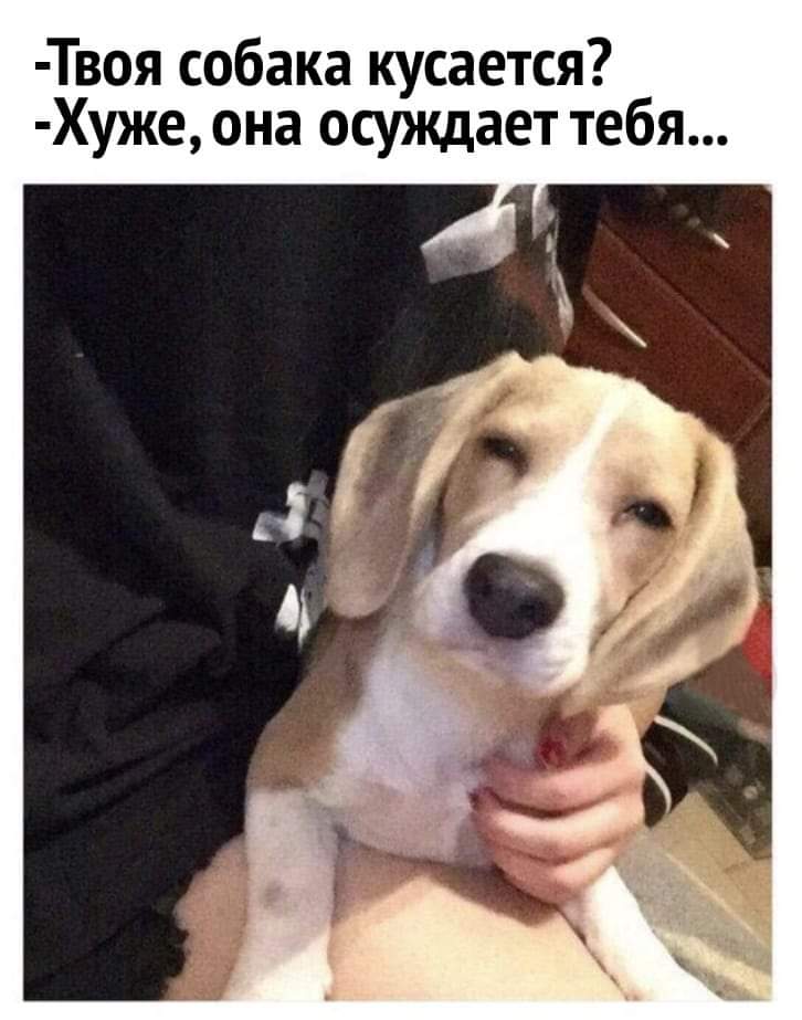 : FB_IMG_1561276090874.jpg
: 2300

: 60.3 