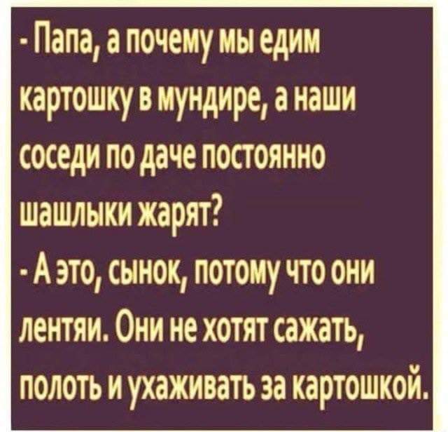 : FB_IMG_1541785782325.jpg
: 5121

: 36.2 