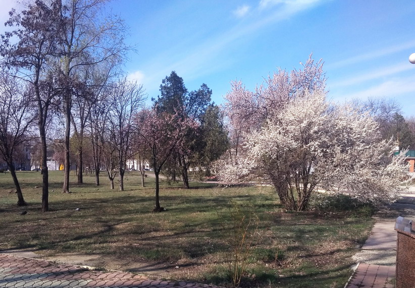 Название: 2020-Парк Кирова.jpg
Просмотры: 2273
Размер: 223.6 Кб