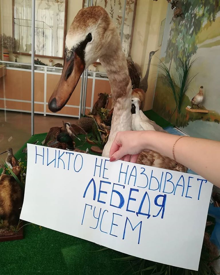 : 15.jpg
: 931

: 113.1 