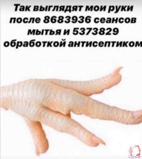 : ppxVTG103FU.jpg
: 1146

: 64.2 