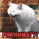 : .gif
: 1282

: 58.4 