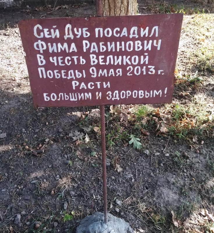 Название: Дуб Фимы Рабиновича.jpg
Просмотры: 1477
Размер: 311.1 Кб