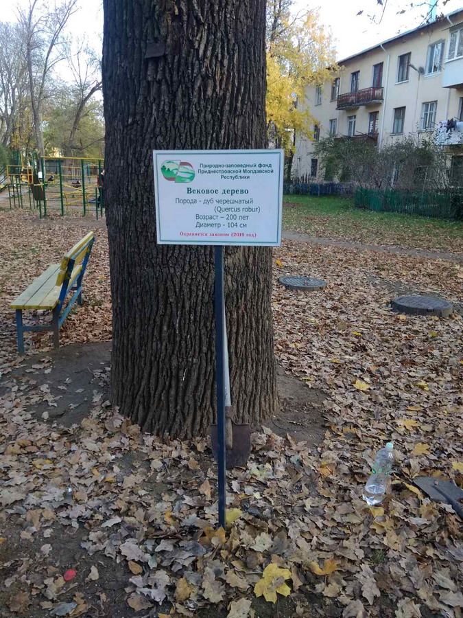:     -  .jpg
: 699

: 286.1 