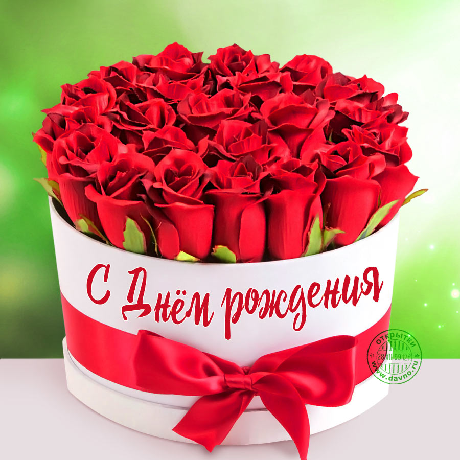 : IMG-7833c60a917f0bc4a4bd1a84fd8e0b5b-V.jpg
: 466

: 139.5 