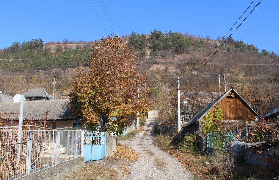 Название: Дома в Каменке - ПМР.JPG
Просмотры: 1135
Размер: 328.5 Кб
