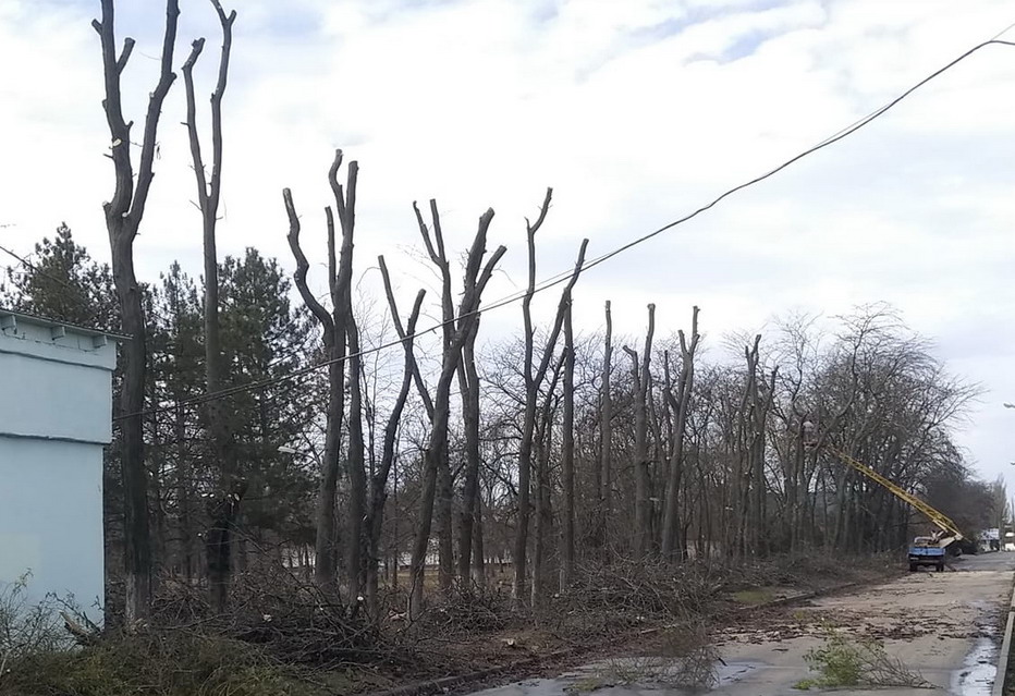 Название: Обрезка веток деревьев в Парке Победа.jpg
Просмотры: 1426
Размер: 178.9 Кб