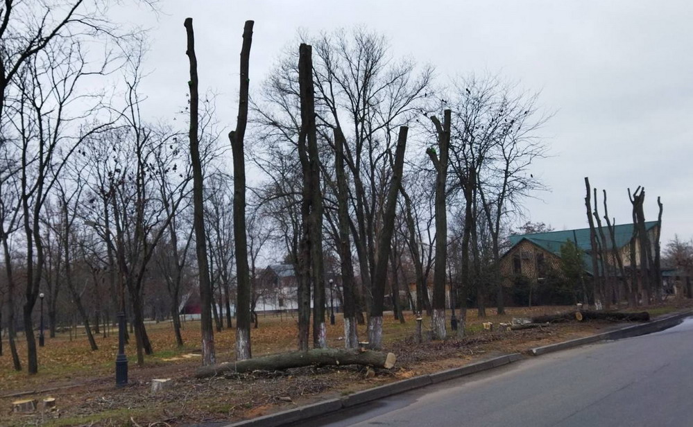 Название: 1 Парк Победы по ул. Царева.jpg
Просмотры: 1167
Размер: 203.7 Кб