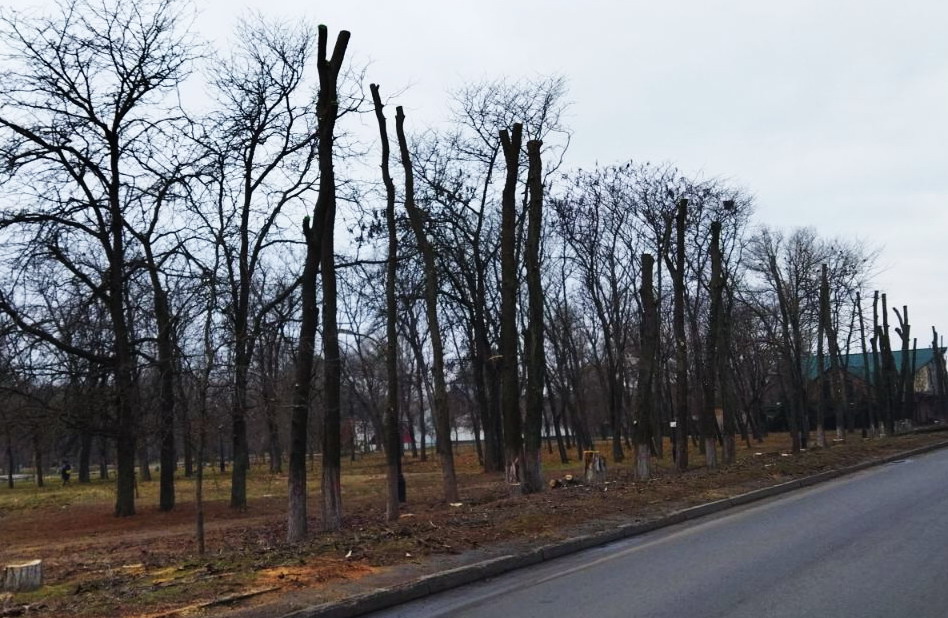 Название: 3 деревья в Паркк Победы по Царева.jpg
Просмотры: 1281
Размер: 206.2 Кб