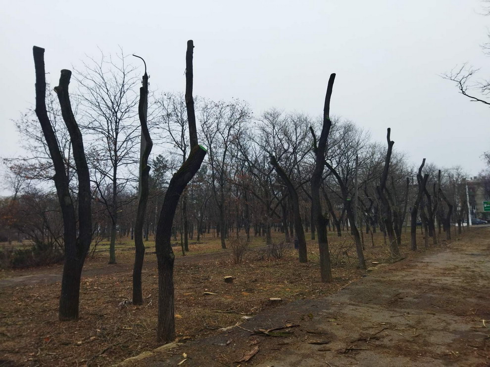 Название: 1 Парк Победы - деревья по Синева.jpg
Просмотры: 1124
Размер: 219.6 Кб