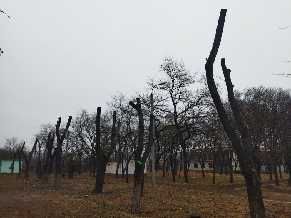 Название: 2 Парк Победы - санитарная обрезка по Синева.jpg
Просмотры: 1029
Размер: 182.4 Кб