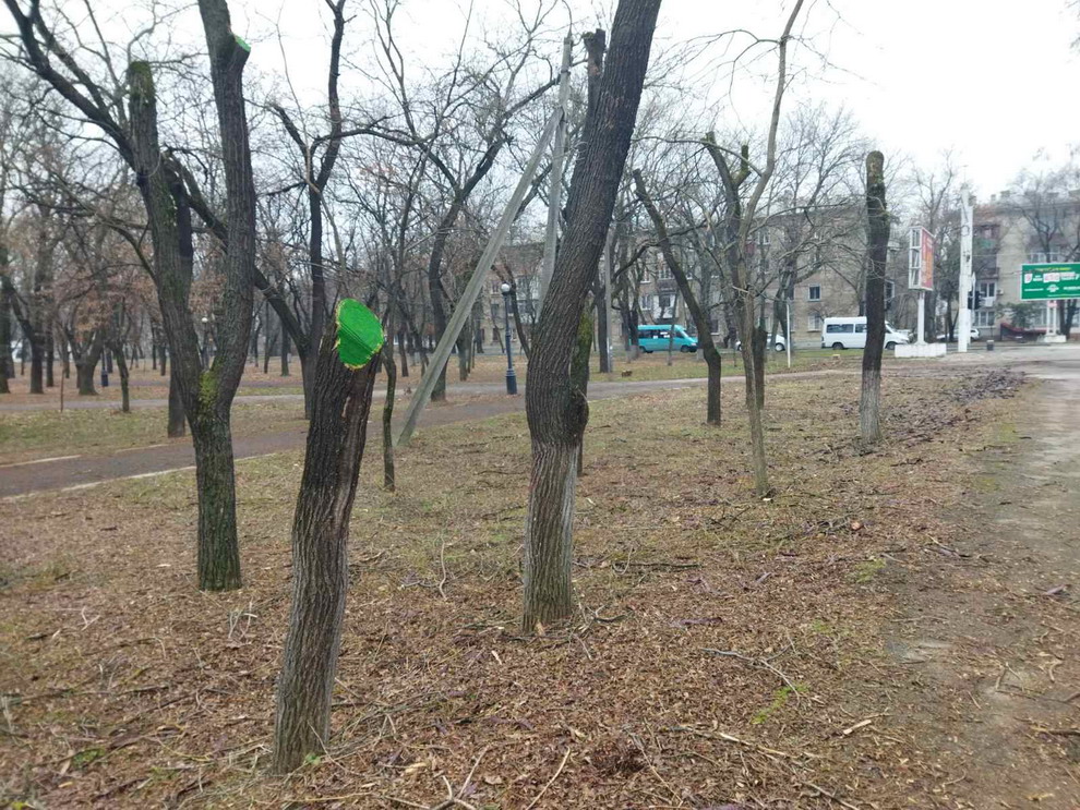Название: 3 Парк Победы ул. Синева.jpg
Просмотры: 1196
Размер: 314.0 Кб