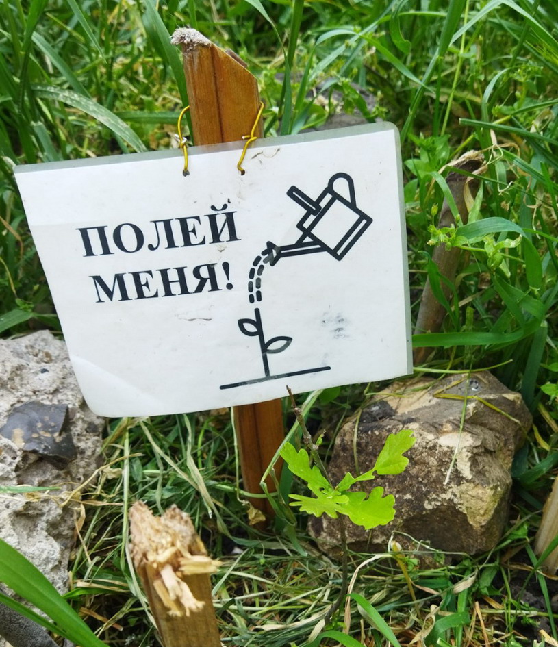 Название: 9_Dubok_poliv.jpg
Просмотры: 1071
Размер: 254.9 Кб