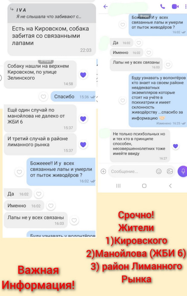 :    .jpg
: 309

: 117.6 