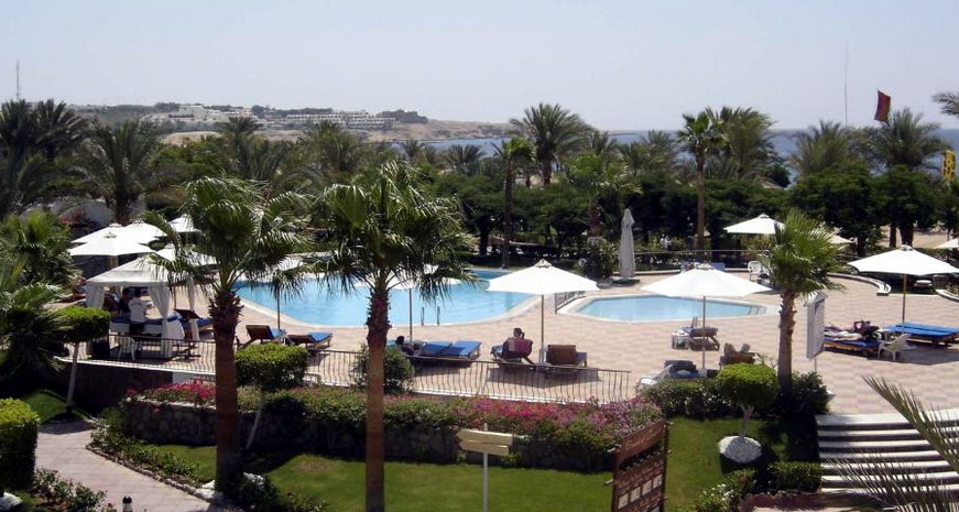 : Jaz Fayrouz.jpg
: 495

: 138.7 