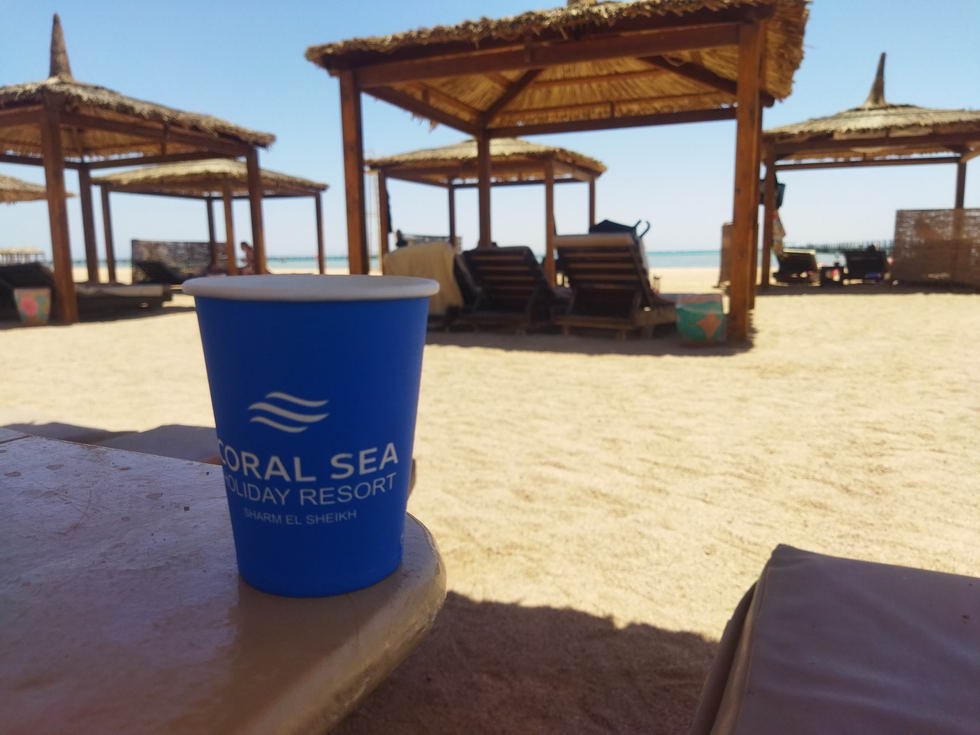 :      Coral Sea Holiday Resort (--).jpg
: 384

: 88.9 