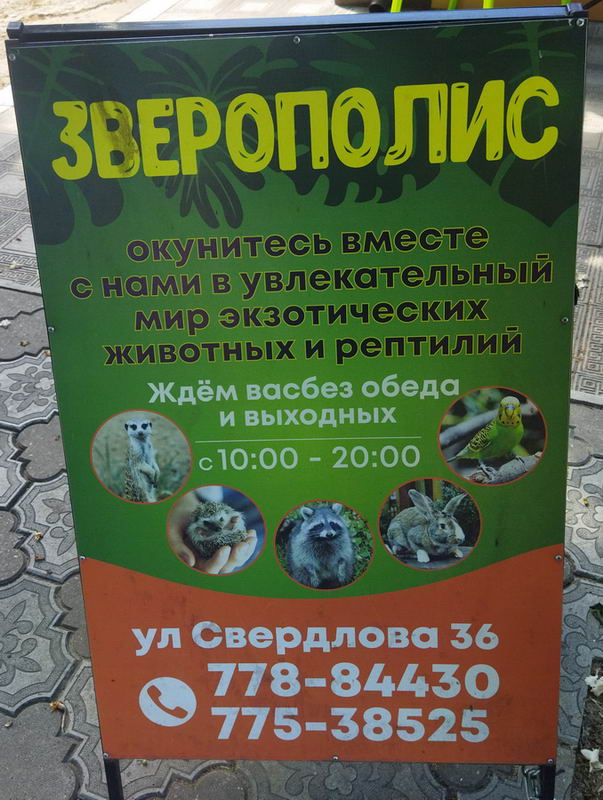 :  -  .jpg
: 336

: 105.8 