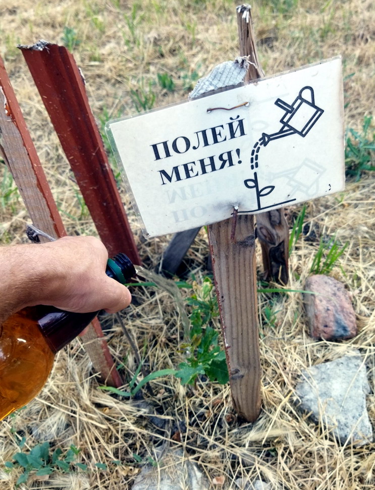 Название: 2.Полей меня 2024 Приднестровье.jpg
Просмотры: 659
Размер: 257.5 Кб