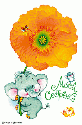     
: birthday004.gif
: 536
:	140.0 
ID:	3000
