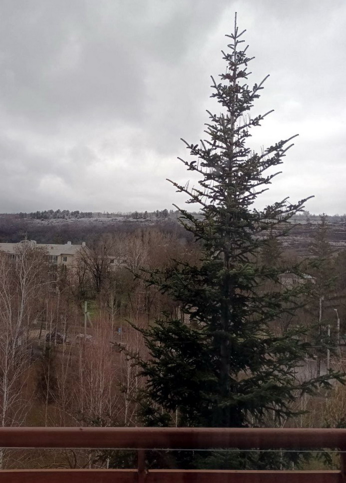 Название: 9. Каменка. Санаторий Днестр..jpg
Просмотры: 335
Размер: 171.7 Кб