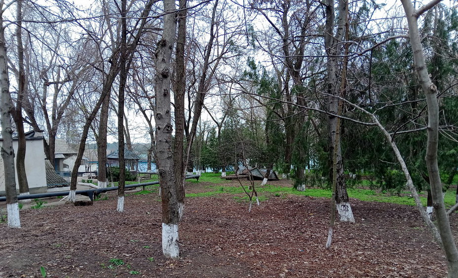 Название: Сквер в григориопольской больнице.jpg
Просмотры: 241
Размер: 319.5 Кб