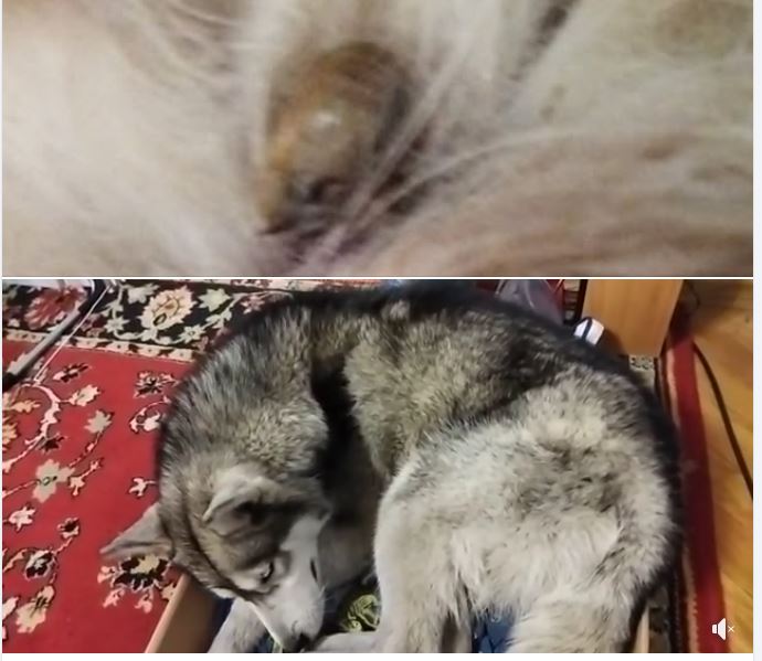 :    .JPG
: 3

: 55.9 