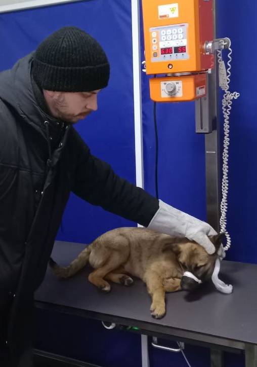 ��������: 1-���������.jpg
���������: 1

������: 88.3 ��