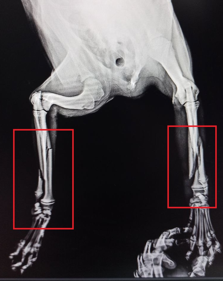 ��������: 2-�����������.jpg
���������: 1

������: 130.4 ��