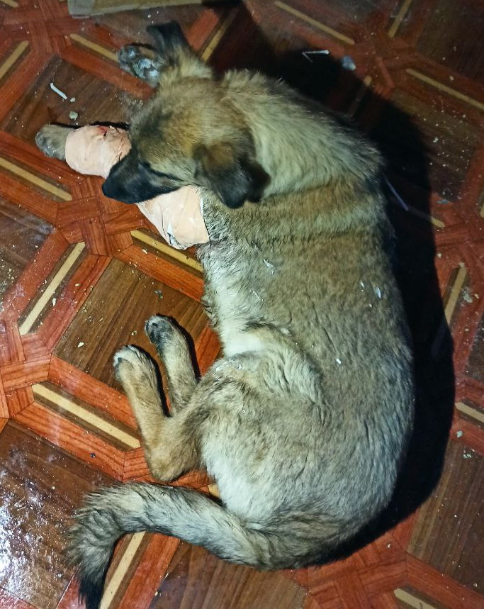 ��������: 2026 ������ ����� �������� �� �������� ����.jpg
���������: 1

������: 235.4 ��