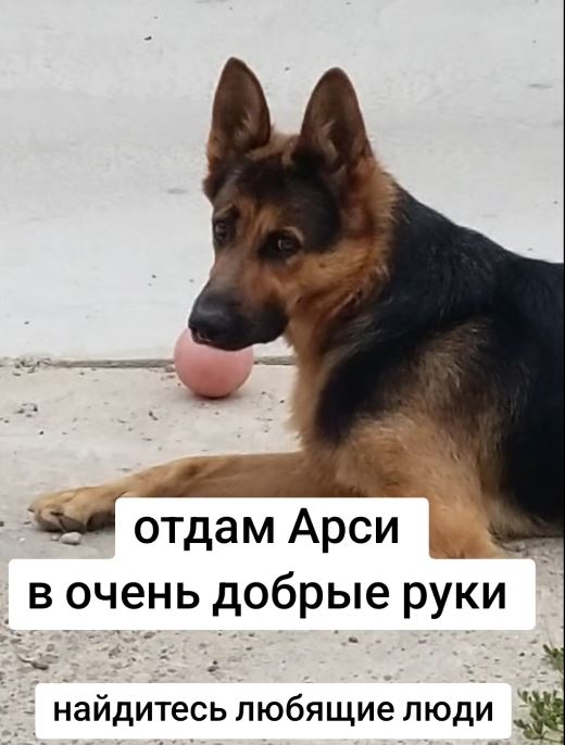 ��������: ������� ����.JPG
���������: 3

������: 49.1 ��