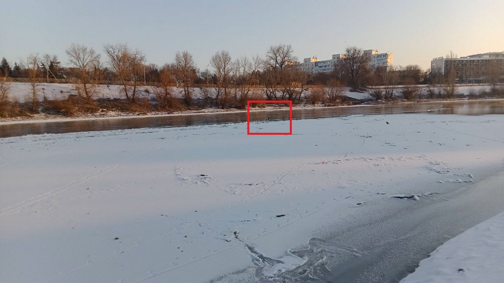 ��������: ����� ���� �� ���� �� �����.jpg
���������: 4

������: 154.7 ��