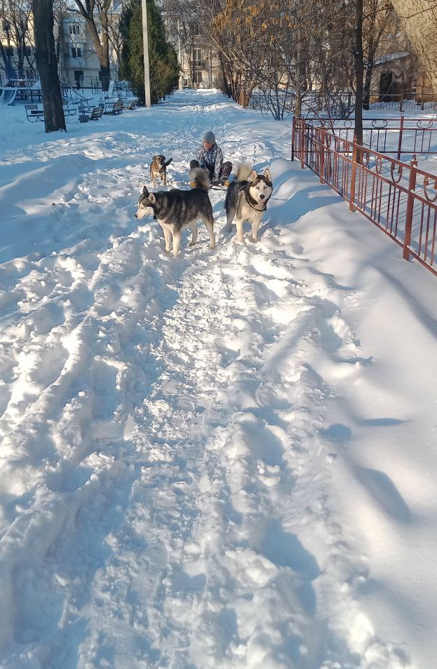 ��������: ����� � ������� ������ ����� � ���������.jpg
���������: 2

������: 254.6 ��