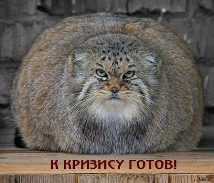     
: kot.jpg
: 834
:	63.3 
ID:	307