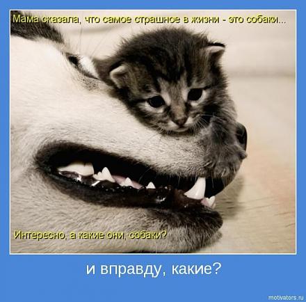     
: motivator047.jpg
: 1275
:	60.8 
ID:	4386