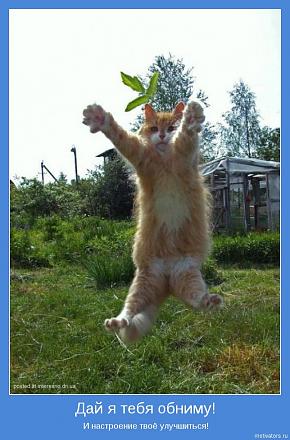     
: motivator-987.jpg
: 811
:	91.2 
ID:	4505