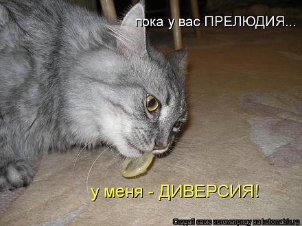     
: Gc.jpg
: 992
:	71.7 
ID:	5617