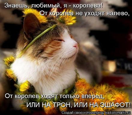     
: kV.jpg
: 1119
:	58.3 
ID:	5828