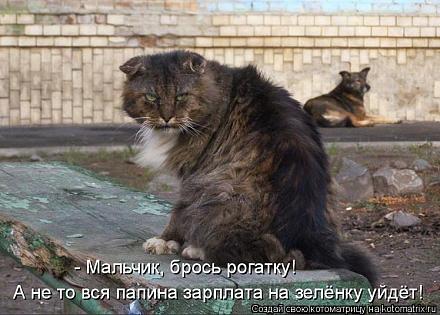     
: 458442[1].jpg
: 1324
:	72.0 
ID:	5870