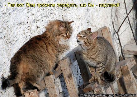     
: 334800[1].jpg
: 1222
:	97.4 
ID:	5872