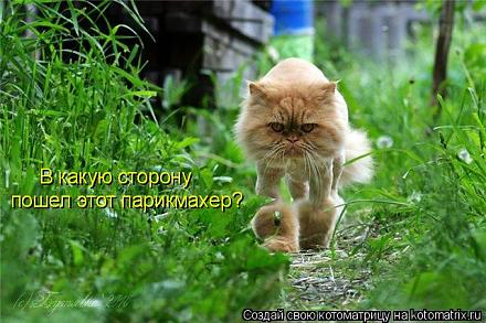     
: 628077.jpg
: 1179
:	64.9 
ID:	5999