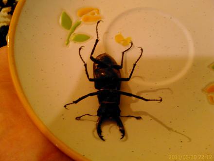     
: IMAG0286.jpg
: 620
:	84.9 
ID:	6189
