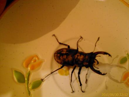     
: IMAG0288.jpg
: 509
:	83.2 
ID:	6191