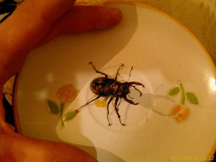     
: IMAG0289.jpg
: 503
:	89.9 
ID:	6192