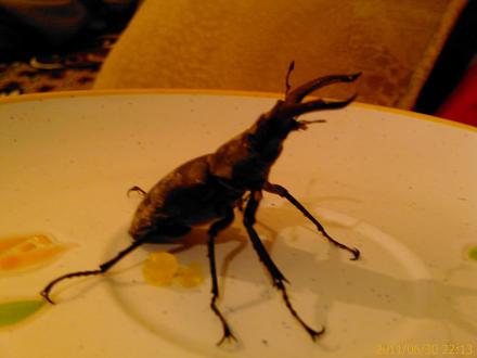     
: IMAG0290.jpg
: 512
:	84.1 
ID:	6193