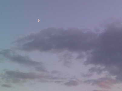 : Luna.jpg
: 3908

: 7.3 