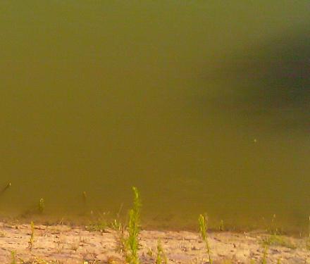     
: Voda_Dnestr.jpg
: 720
:	63.4 
ID:	6273