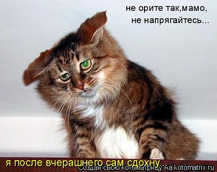     
: 539995.jpg
: 601
:	36.1 
ID:	6367