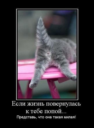     
: 52136710_041.jpg
: 1153
:	38.5 
ID:	6555